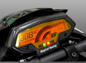 Magical Racing マジカルレーシング メーターカバー Z1000 (水冷) KAWASAKI カワサキ