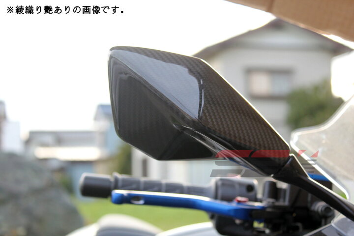 楽天市場】SPEEDRA スピードラ ミラーカバー 左右セット ドライ 