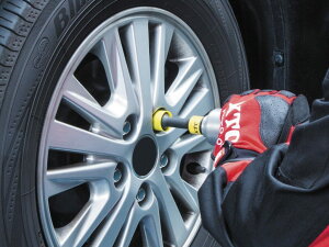 KTC PCeB[V[ 12.7SQCpNgpzC[K[h\PbgZbg ̑^C֘AH