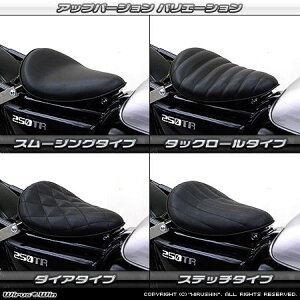 WirusWin ECYEB \V[gLbg Abvo[W 250TR KAWASAKI JTL V[g V[g֘A O
