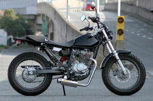 Realize ACY 100Ce tGL][Xg}t[ FTR223 HONDA z_ }t[