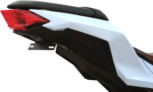 TARGA �^�[�K �e�[���L�b�g X-TAIL���f�� EX300 �yTAILKIT X [2030-0748]�z EX300R Ninja 300 2013 - 2016 KAWASAKI �J���T�L �t�F���_�[���X�L�b�g �t�F���_�[�֘A �O��