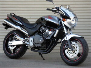 CHIC DESIGN VbNfUC [hRbg2 z[lbg250 HONDA z_ rLjJE JE֘A O XN[J[FX[N / J[FfW^Vo[^bN