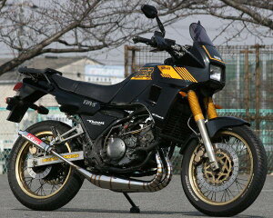 K2TEC PCc[ebN TDR250p `o[ TYPE-2 TDR250 YAMAHA }n }t[ fށFX`[(NA[h)