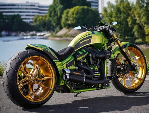 THUNDER BIKE T_[oCN Grand Prix tGL][Xg FLFB S FXBR FXDR HARLEY-DAVIDSON n[[_rbh\ tGL][Xg}t[ }t[