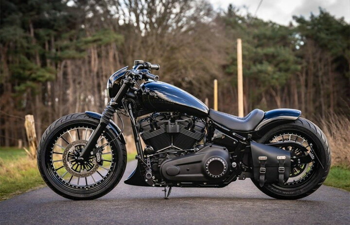 楽天市場】THUNDER BIKE サンダーバイク Drilled ダービーカバー FLSB 