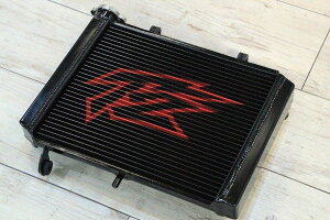 T2 Racing T2[VO 1wWG[^[ Painted NSR250R HONDA z_ WG[^[ p֘A GW J[Fbh(ԃx[XE)