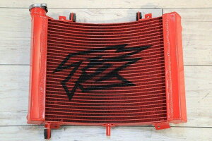 T2 Racing T2[VO 1wWG[^[ Painted NSR250R HONDA z_ WG[^[ p֘A GW J[Fbh(ԃx[XE)