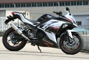 Realize ACY AA XeX XbvI}t[ jW250 KAWASAKI JTL }t[