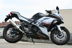 Realize ACY AA XeX XbvI}t[ jW250 KAWASAKI JTL }t[ TCT[fށFXeX / TCT[GhFXbVGh