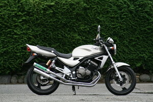 RPM A[s[G RPM-DUALtGL][Xg}t[ oIX2 KAWASAKI JTL tGL][Xg}t[ }t[
