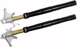 OHLINS I[Y |tgtH[N FG R&T 200 Panigale V4 V2 959 899 DUCATI hDJeB tgtH[N TXyV 