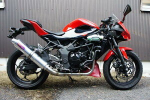؃[VO cLM[VO TRGL][XgVXe `^TCT[ jW250SL KAWASAKI JTL tGL][Xg}t[ }t[