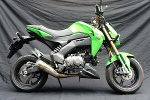 ؃[VO cLM[VO TRGL][XgVXeMINI Kz Z125 v KAWASAKI JTL tGL][Xg}t[ }t[