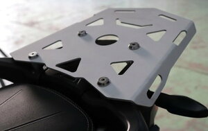 SRC GXA[V[ ALA TIGER900GT TIGER900RALLY TRIUMPH gCAt O