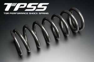 TGR TECHNIX GEAR TGR�e�N�j�N�X�M�A TPSS �p�t�H�[�}���X�V���b�N�X�v�����O WR250F YAMAHA ���}�n ���A�T�X�y���V�����X�v�����O �T�X�y���V���� �����