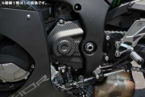 SPEEDRA Xs[h XvPbgJo[ hCJ[{ ZX-10R KAWASAKI JTL O