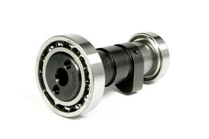 SP SP^PK R-StageJVtgR-10Type JVtg GWp[c GW