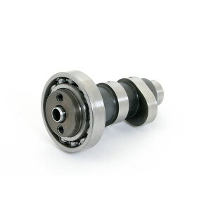 SP SP^PK JVtg(S25) KLX110 KSR110 KAWASAKI JTL JVtg GWp[c GW