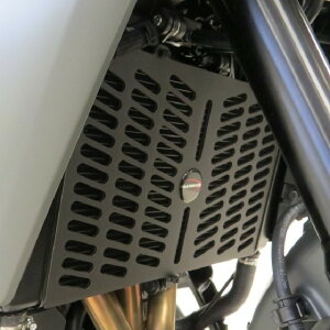 ODAX I_bNX POWER BRONZE WG^[Jo[ TRACER9 GT YAMAHA }n WG[^[ p֘A GW