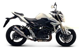 TERMIGNONI e~j[j XbvITCT[@J[{bN GSR750 SUZUKI XYL XbvI}t[ }t[