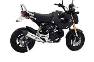 WirusWin ECYEB XbvI}t[ O MSX125 HONDA z_ }t[