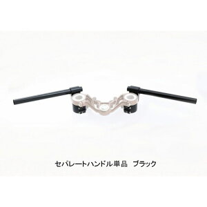 STRIKER XgCJ[ G-STRIKER Zp[gnhPi Z900RS KAWASAKI JTL Zp[gnh nh