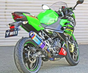Kawasaki JTL NASSERT Evolution Type II tGL][Xg}t[ jW400 2014- KAWASAKI }t[