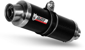 MIVV ~ GP XbvI}t[ SPEED TRIPLE TRIUMPH gCAt }t[