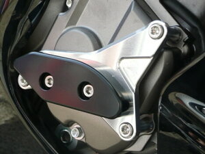 AGRAS AOX [VOXC_[ 2_Zbg ^CvA ZX-10R KAWASAKI JTL GWXC_[Et[XC_[ t[