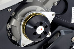 AGRAS AOX [VOXC_[ S1000RR BMW GWXC_[Et[XC_[ t[ A~Xy[T[J[FVo[^WRJ[FzCg
