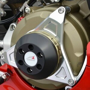 AGRAS AOX [VOXC_[ Panigale [pjK[] DUCATI hDJeB GWXC_[Et[XC_[ t[ A~Xy[T[/J[FVo[ / WR/J[Fz