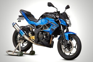 K-FACTORY PCt@Ng[ FRC XeX tGL][Xg}t[ Z250SL KAWASAKI JTL }t[