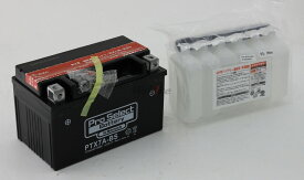 Pro Select Battery プロセレクトバッテリー オートバイ用12Vバッテリー