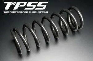 TGR TECHNIX GEAR TGReNjNXMA TPSS ptH[}XVbNXvO TF 250-E TRIUMPH gCAt ATXyVXvO TXyV 