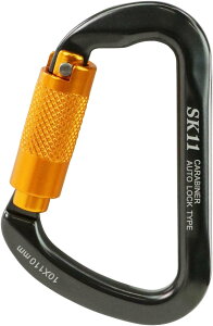 SK11 GXP[11 I[gbNJri HG L[z_[ oCN֘AObY