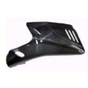 SPEED CARBON Xs[hJ[{ A_[JE E 1000ie SS750 SS900ie DUCATI hDJeB JE֘A O