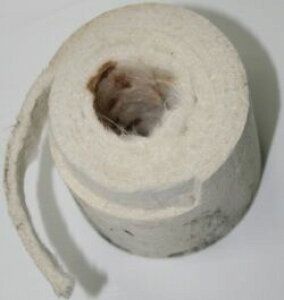 Blue Point u[|Cg ^TCT[E[ OXE[ }t[