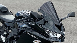 ACRY-Point �A�N���|�C���g �X�N���[�� ZX-25R KAWASAKI �J���T�L �O��