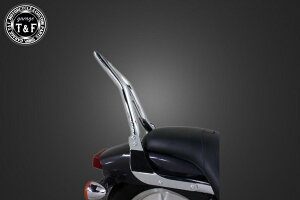 Garage T&F K[W ɑ38V[V[o[ tF_[p }Oi250S }Oi250 HONDA z_ Ouo[E^fo[EV[V[o[ O J[FbL / ^CvF~fBA(F450