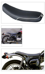 KH PCAhGC` XV[gB pCsO ESTRELLA [GXgA] KAWASAKI JTL V[g V[g֘A O