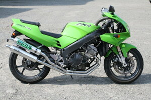 RPM A[s[G RPM-DUALtGL][Xg}t[ ZXR250 ZXR250R KAWASAKI JTL tGL][Xg}t[ }t[