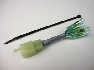 MINIMOTO ~jg L[S12Vn[lX GWJv[I L[ S HONDA z_ ̑n[lX XCb`En[lX֌W dn