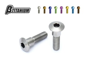 TITANIUM x[^`^jE fBXN[^[{g(XYLp) M8 SUZUKI XYL [^[{g u[L J[F[tO[(zɎ_)