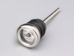 DAYTONA fCgi fBbvXeBbNv SPORTSTER 1200CUSTOM XL1200S XL883C XL883R XLH883 HARLEY-DAVIDSON n[[_rbh\ fBbvXeBbNExQ[W GWp[c GW