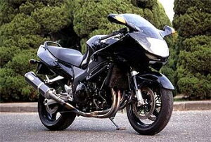 techserfu ebNT[t [ALL TITANIUM Exhaust TYPE-2] I[`^jEGL][Xg}t[ ^Cv-2 CBR1100XX SUPERBLACKBIRD [X[p[ubNo[h] HONDA z_ tGL][Xg}t[ }t[ T