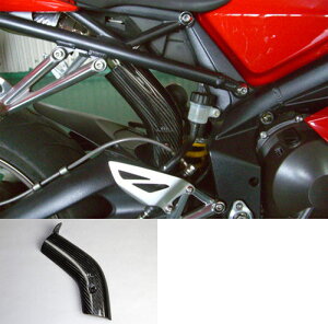 CARBON DRY J[{hC q[gveN^[ DAYTONA675 [fCgi] TRIPLE TRIUMPH gCAt }t[K[hEq[gK[h }t[