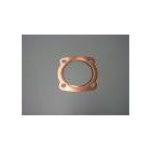 TAKE-1 eCN wbhKXPbg DIO [fBI] HONDA z_ GWKXPbg GWp[c GW