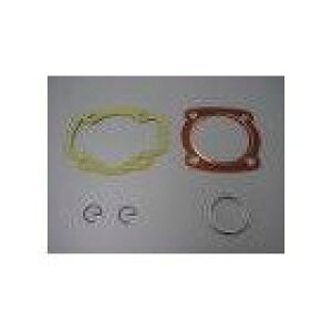 TAKE-1 eCN KXPbgZbg DIO [fBI] HONDA z_ GWKXPbg GWp[c GW