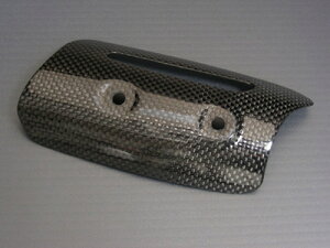 SPEED CARBON Xs[hJ[{ AoN}t[q[gK[h DUCATI 1098 hDJeB }t[K[hEq[gK[h }t[
